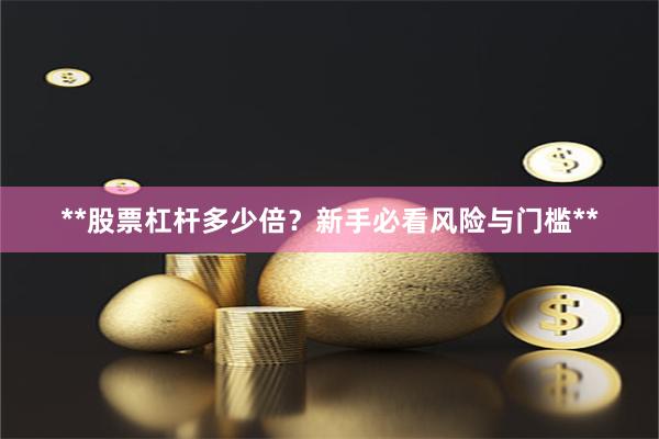 **股票杠杆多少倍？新手必看风险与门槛**